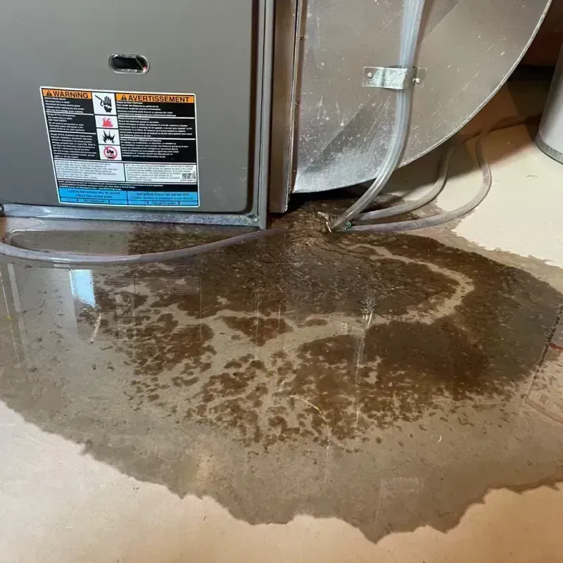 Appliance Leak Cleanup in Washington County, NC